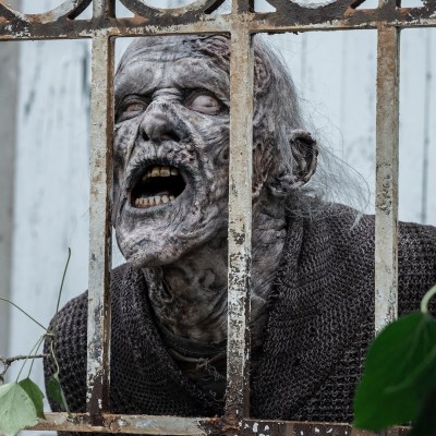 A zombie behind a fence in The Walking Dead: Daryl Dixon _ Season 2, Episode 4.